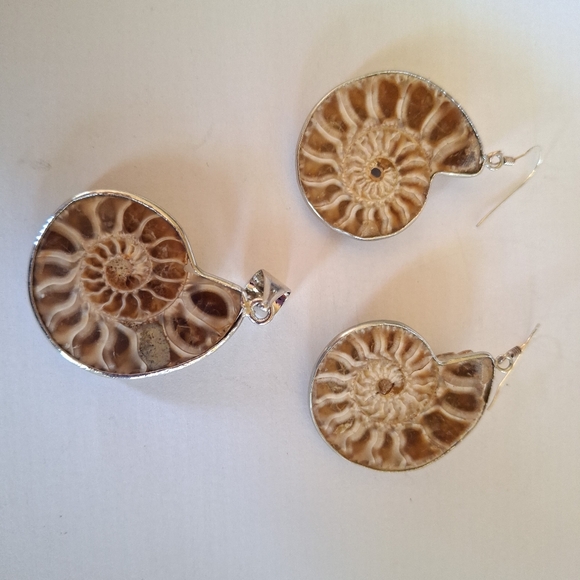 Unique Ammonite Fossil Earrings & Pendant Set 925 Sterling Silver "Stargazer" - Picture 13 of 13